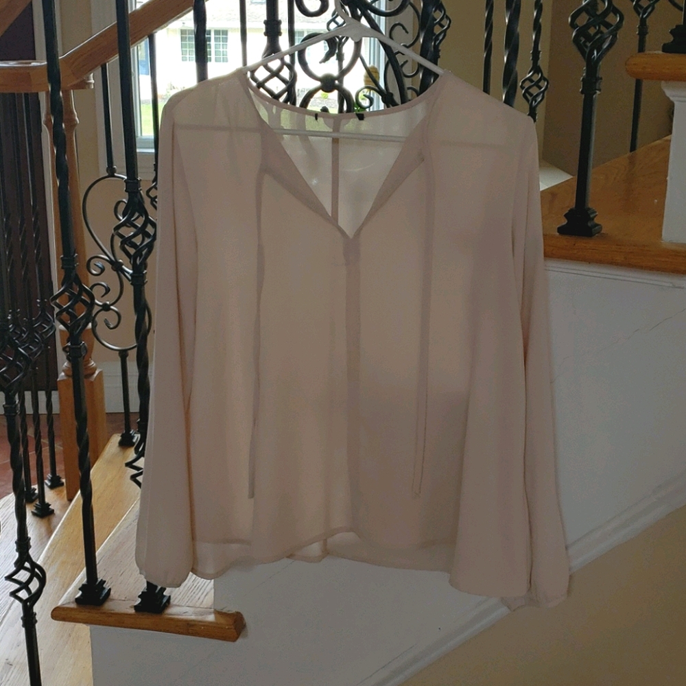 Dressy sheer light pink work blouse